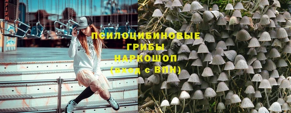 МДПВ Алексин